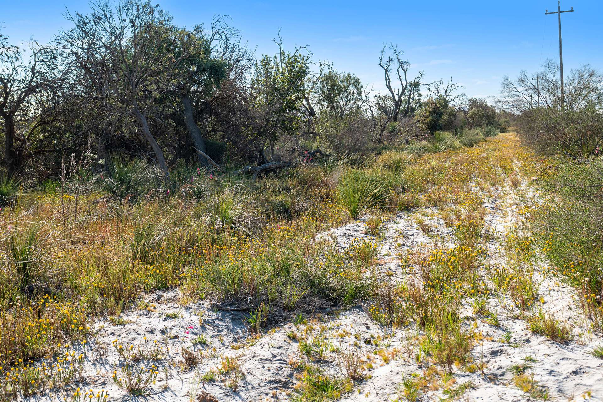 Lot 3691,  Duffy Road, Bambun For Sale by Farmbuy.com - image 15