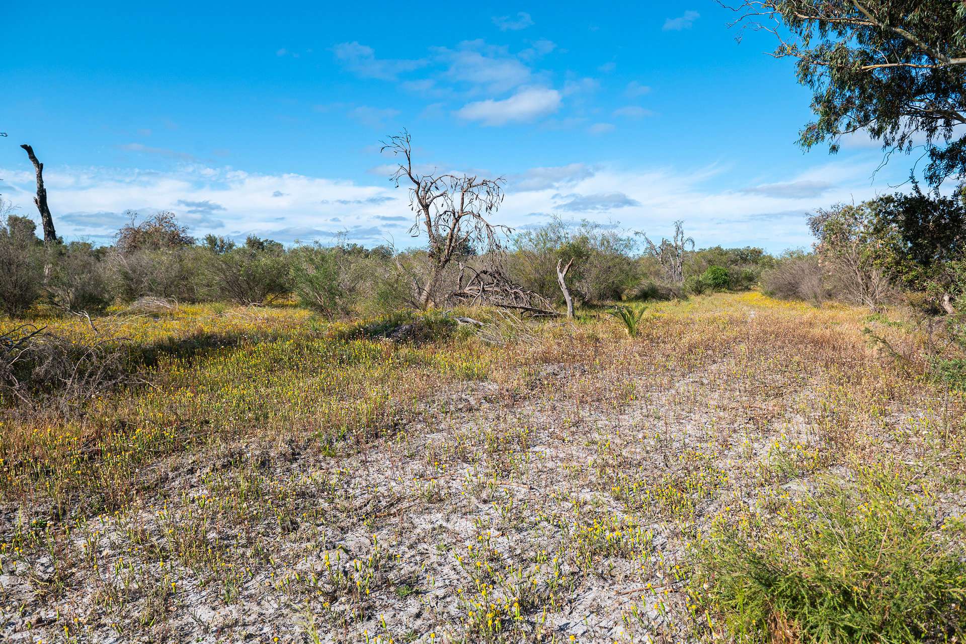 Lot 3691,  Duffy Road, Bambun For Sale by Farmbuy.com - image 19