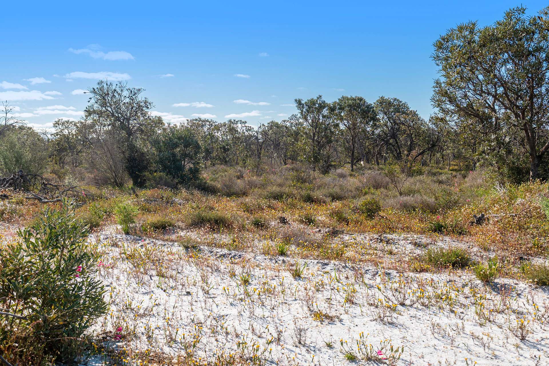 Lot 3691,  Duffy Road, Bambun For Sale by Farmbuy.com - image 16