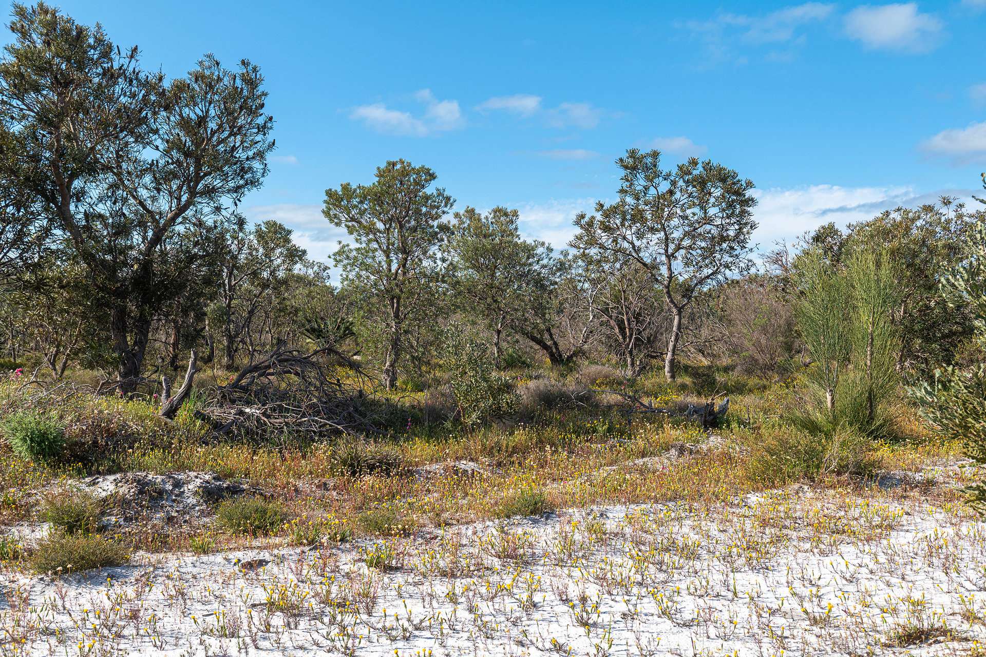 Lot 3691,  Duffy Road, Bambun For Sale by Farmbuy.com - image 17