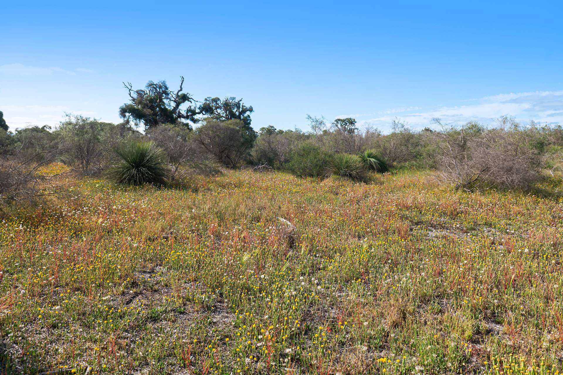 Lot 3691,  Duffy Road, Bambun For Sale by Farmbuy.com - image 24