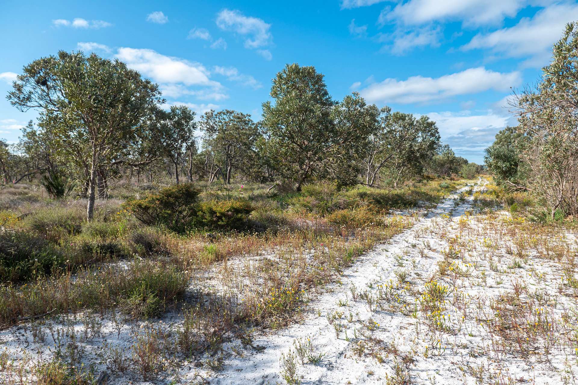 Lot 3691,  Duffy Road, Bambun For Sale by Farmbuy.com - image 10