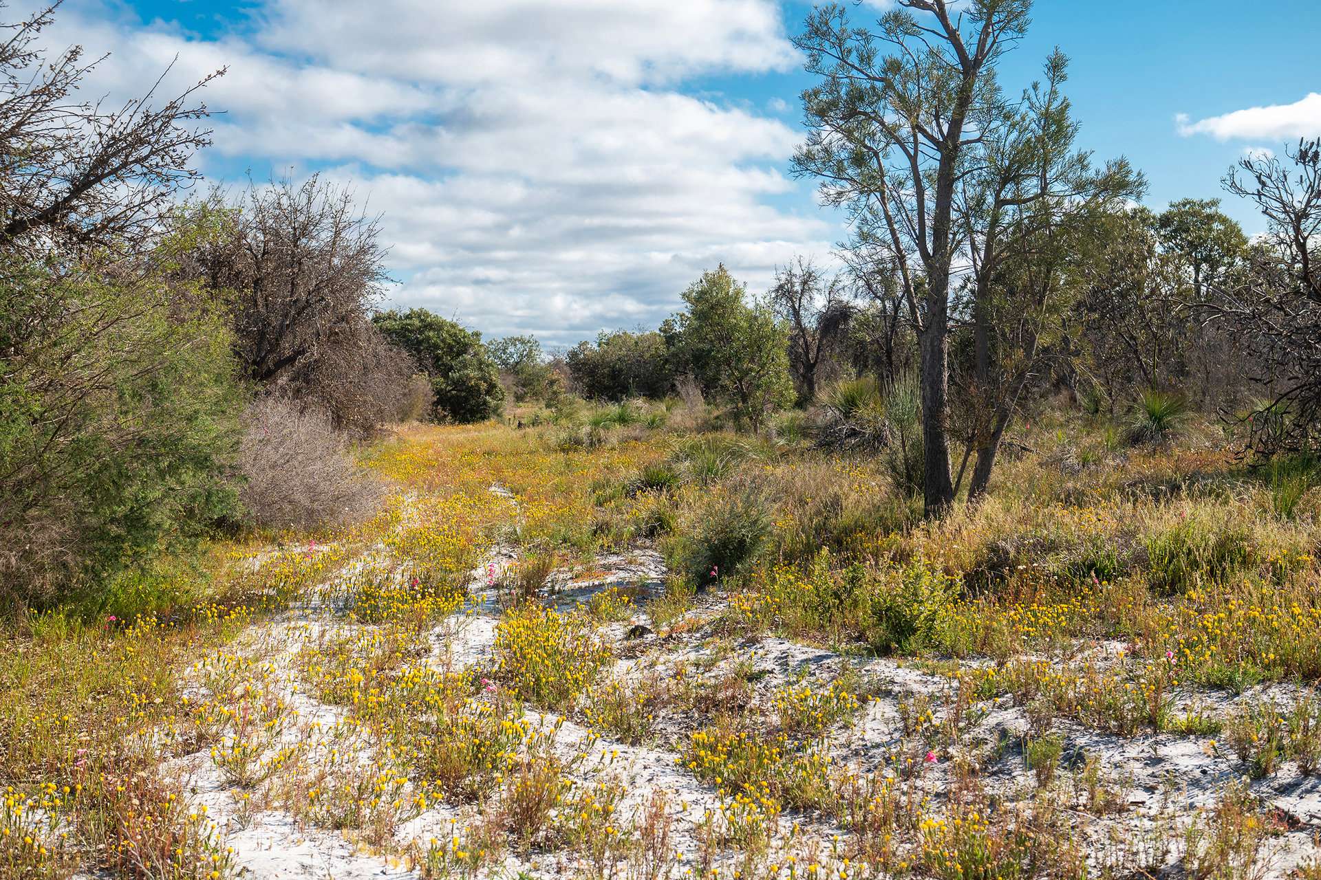 Lot 3691,  Duffy Road, Bambun For Sale by Farmbuy.com - image 14