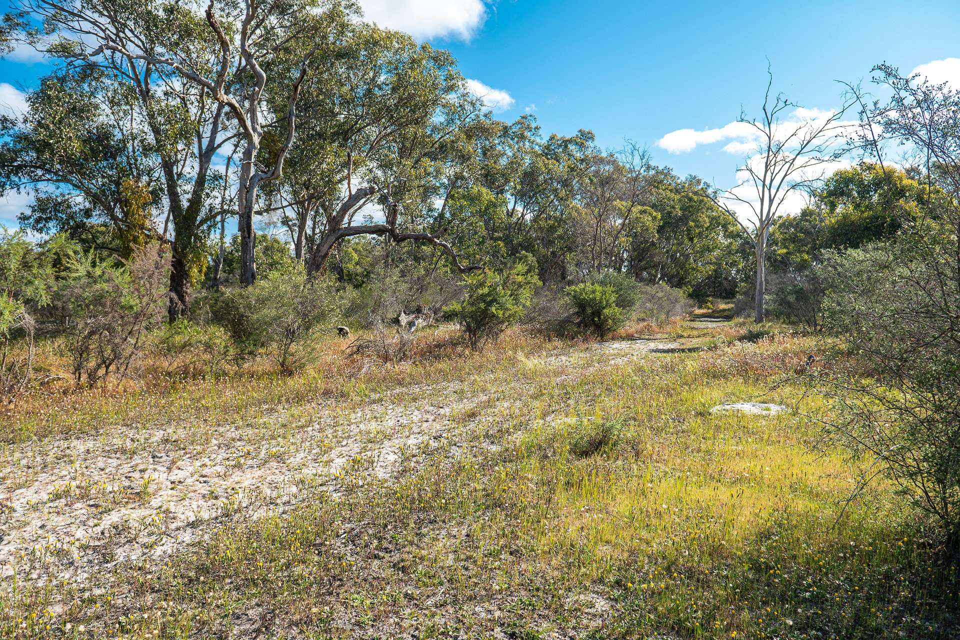 Lot 3691,  Duffy Road, Bambun For Sale by Farmbuy.com - image 1