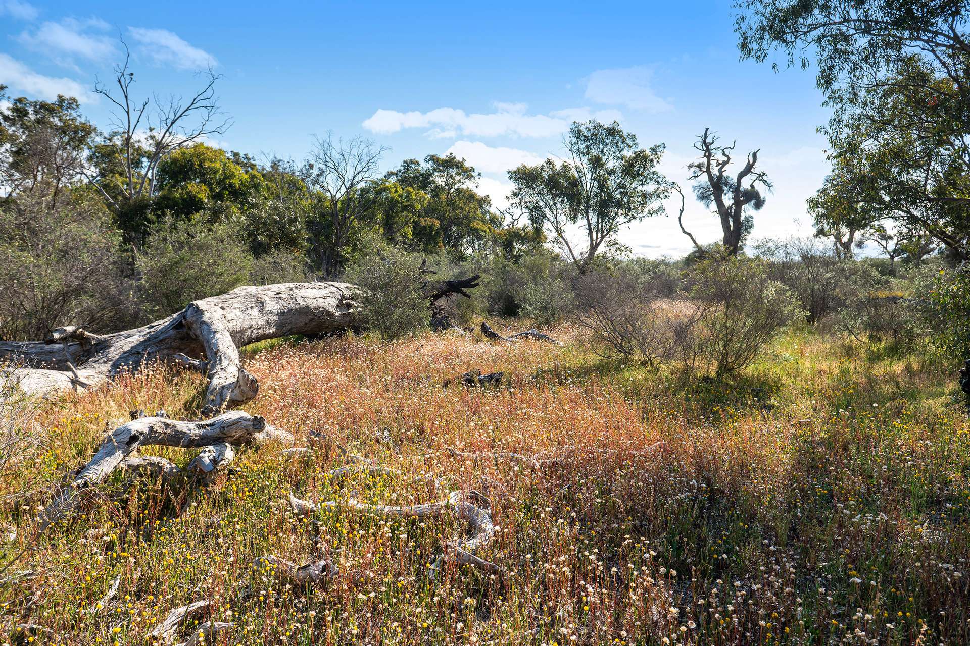 Lot 3691,  Duffy Road, Bambun For Sale by Farmbuy.com - image 21