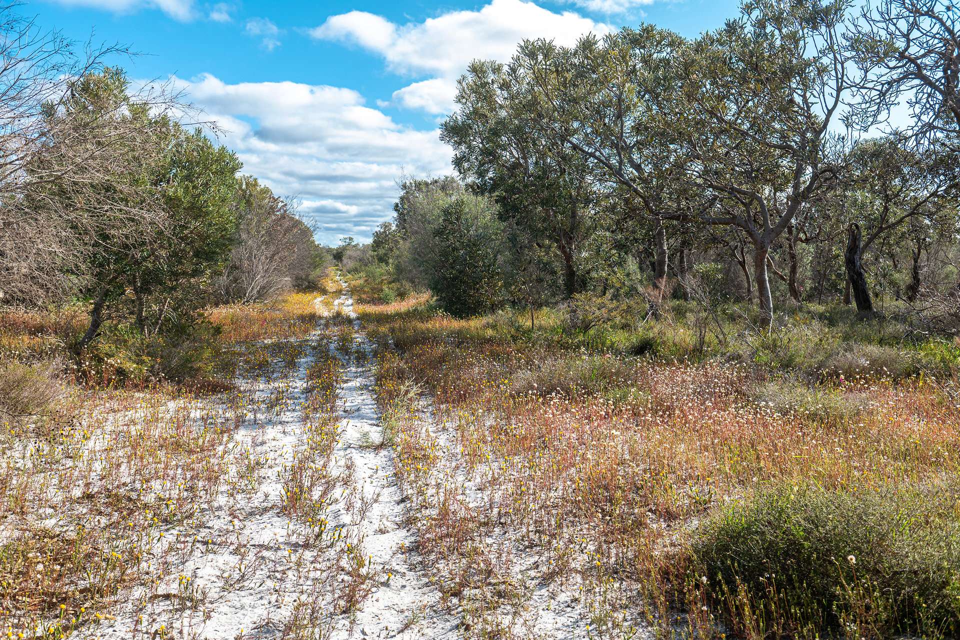 Lot 3691,  Duffy Road, Bambun For Sale by Farmbuy.com - image 8