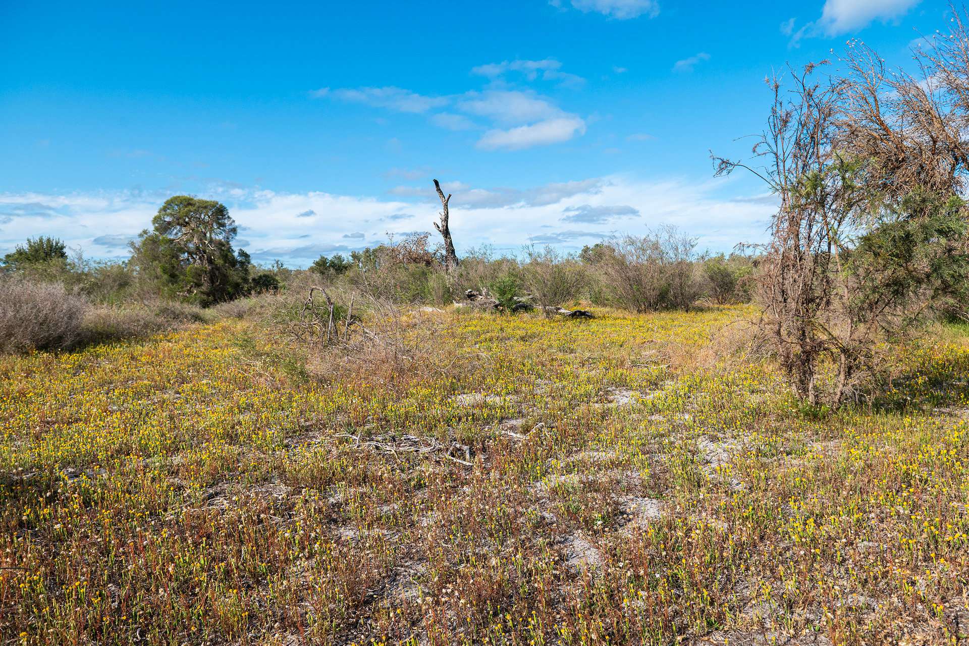 Lot 3691,  Duffy Road, Bambun For Sale by Farmbuy.com - image 20