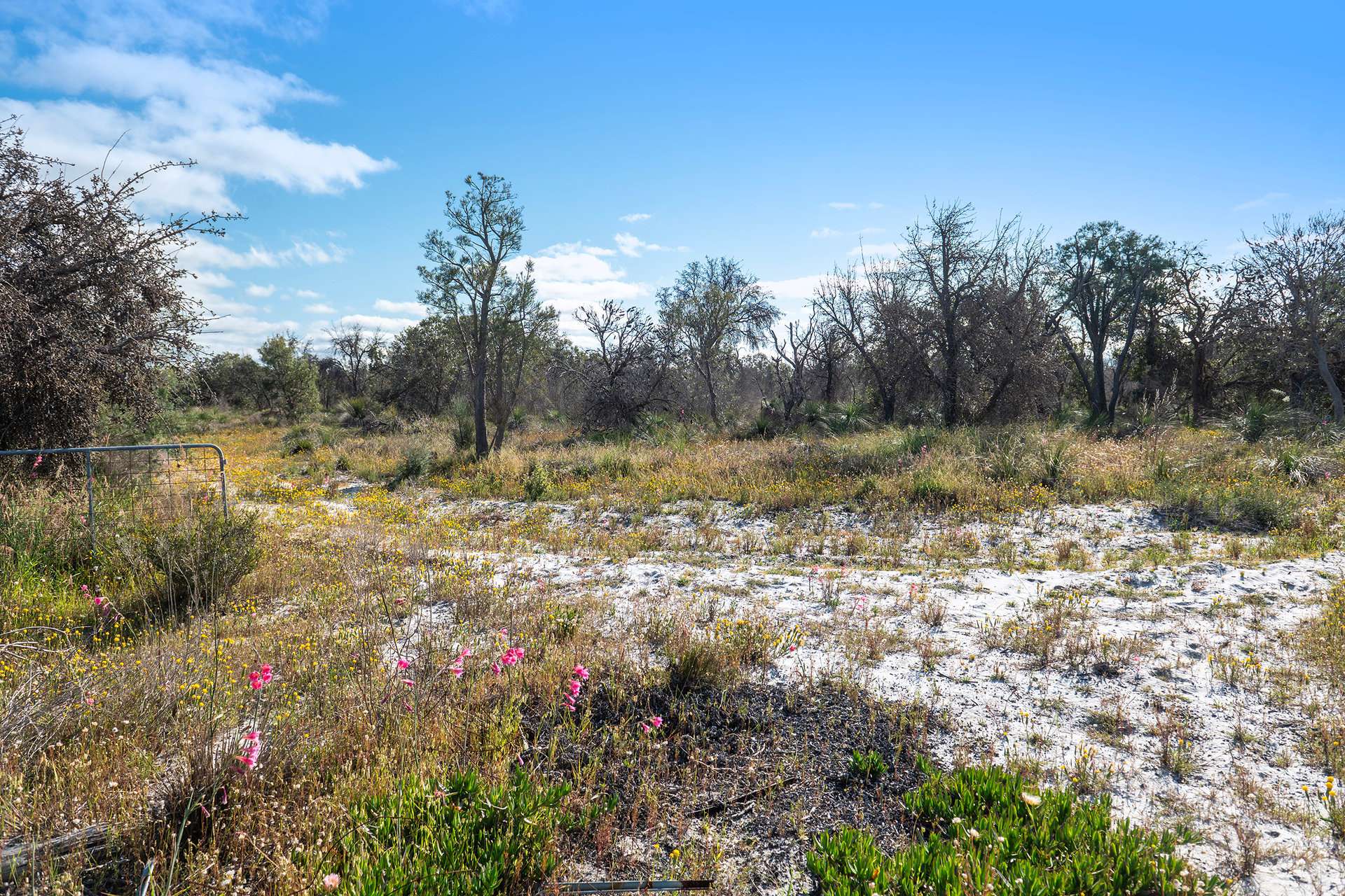 Lot 3691,  Duffy Road, Bambun For Sale by Farmbuy.com - image 13