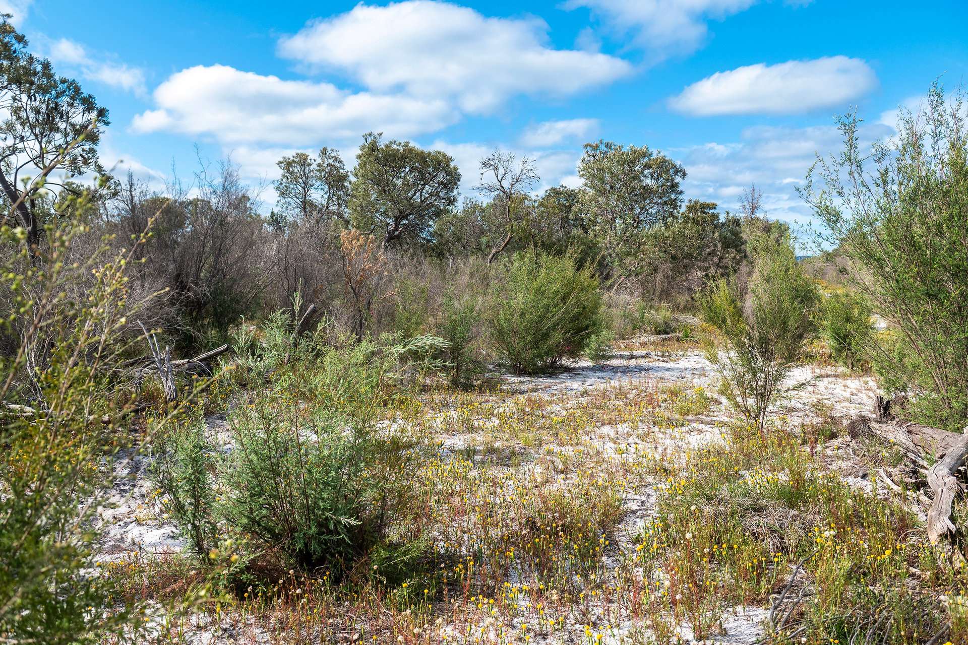 Lot 3691,  Duffy Road, Bambun For Sale by Farmbuy.com - image 5