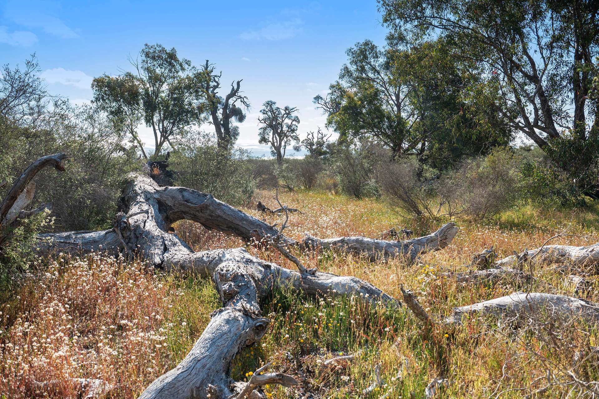 Lot 3691,  Duffy Road, Bambun For Sale by Farmbuy.com - image 22