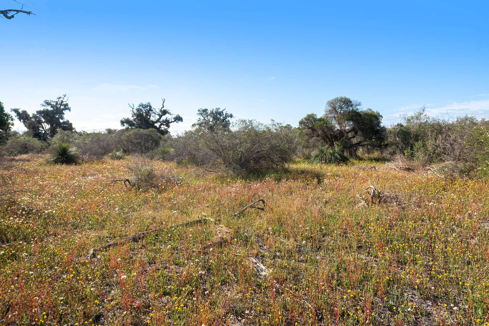 Lot 3691,  Duffy Road, Bambun For Sale by Farmbuy.com - image 23