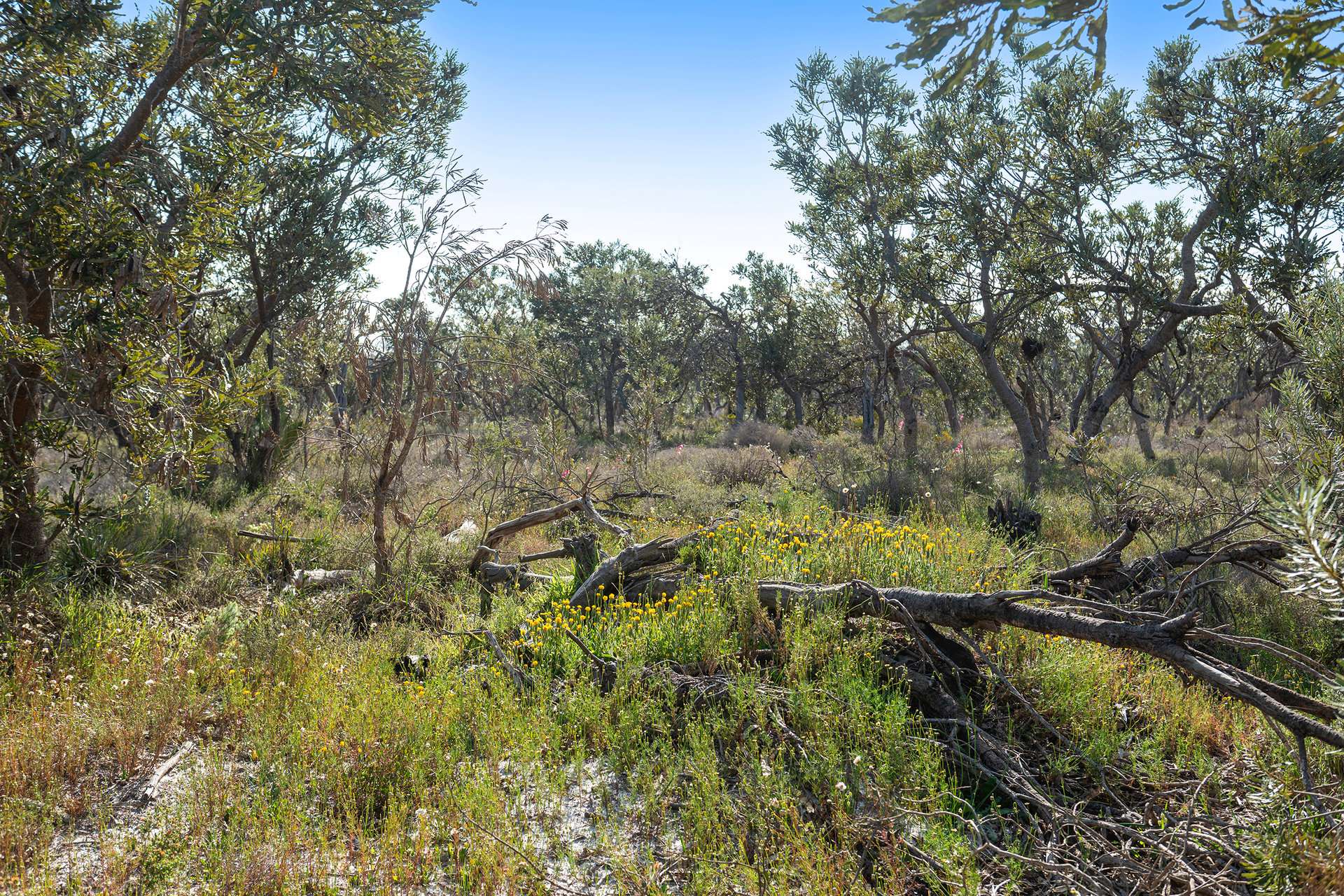 Lot 3691,  Duffy Road, Bambun For Sale by Farmbuy.com - image 9