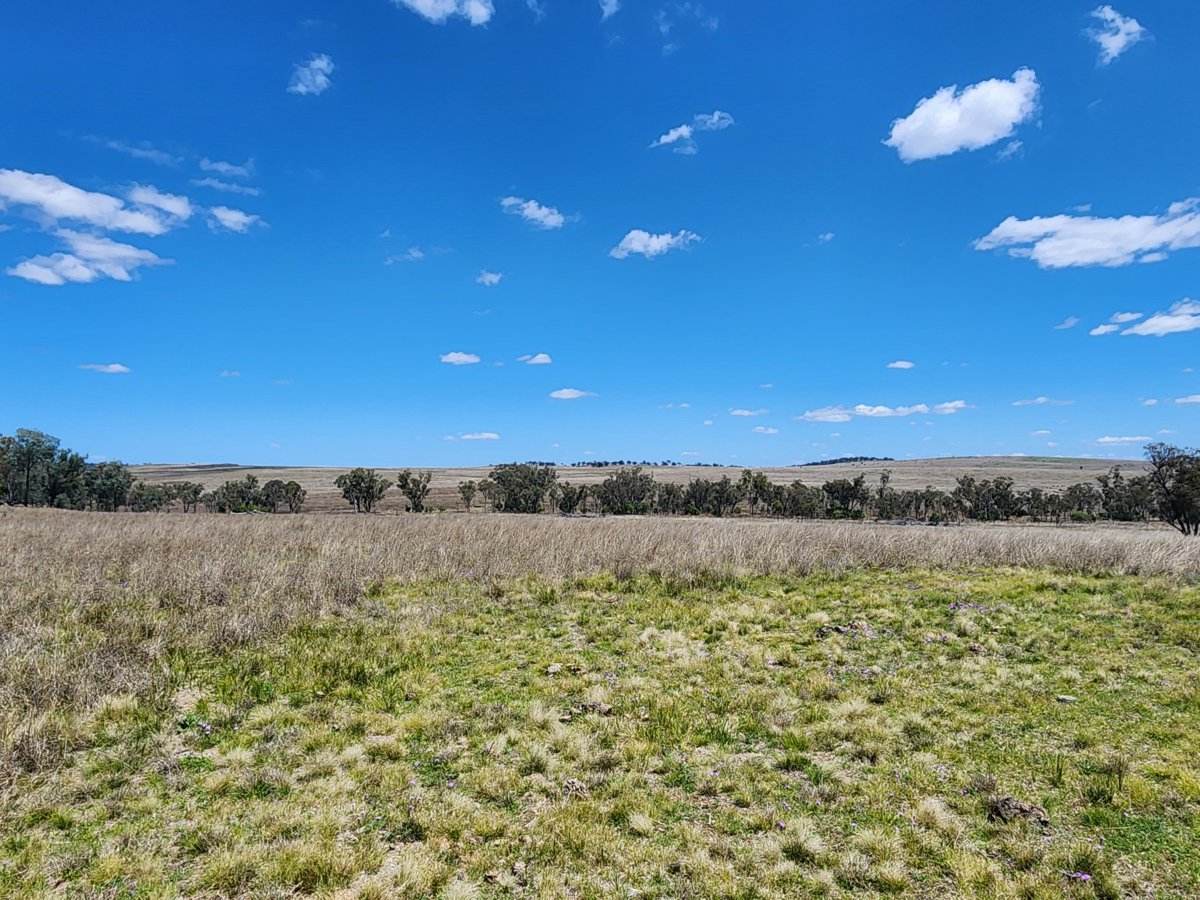 Lot 11 Pikedale Lane, Stanthorpe Sold by Farmbuy.com - image 2