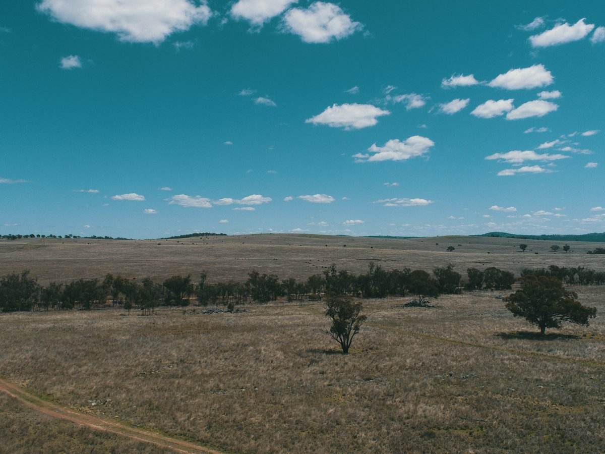 Lot 11 Pikedale Lane, Stanthorpe Sold by Farmbuy.com - image 7
