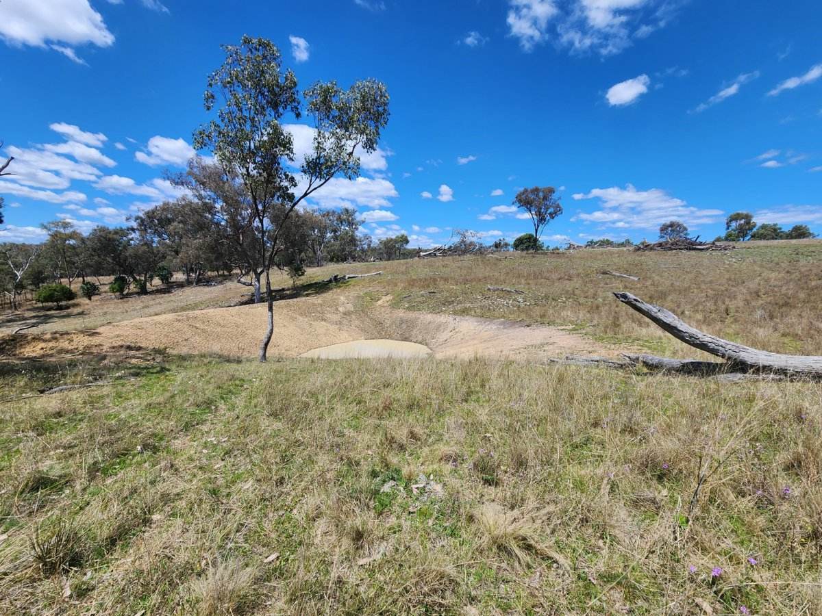 Lot 11 Pikedale Lane, Stanthorpe Sold by Farmbuy.com - image 4