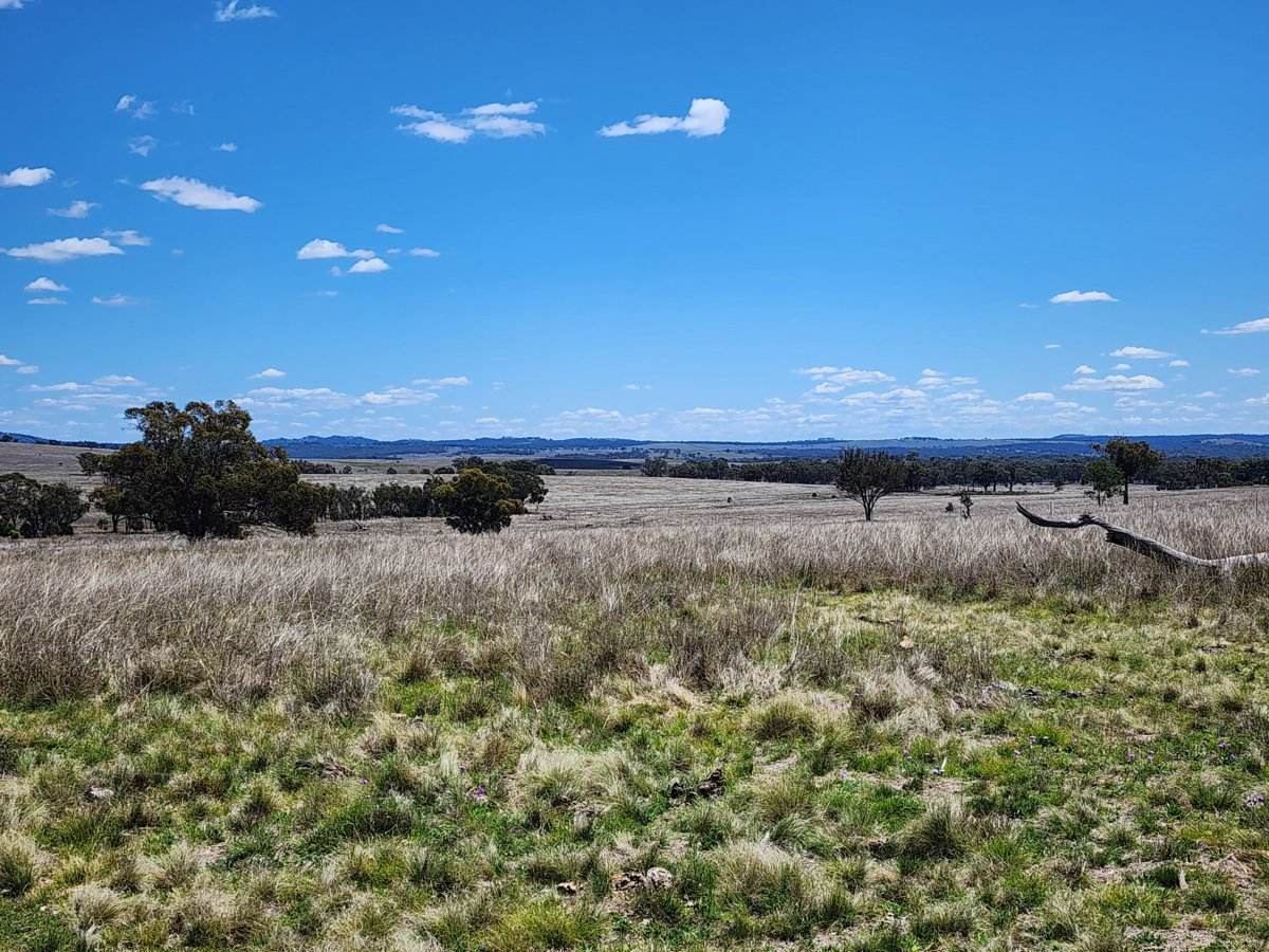 Lot 11 Pikedale Lane, Stanthorpe Sold by Farmbuy.com - image 1