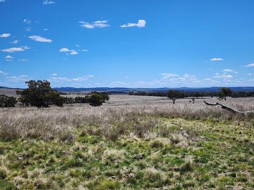 Farm Sold - QLD - Stanthorpe - 4380 - RURAL LAND - 25 ACRES 