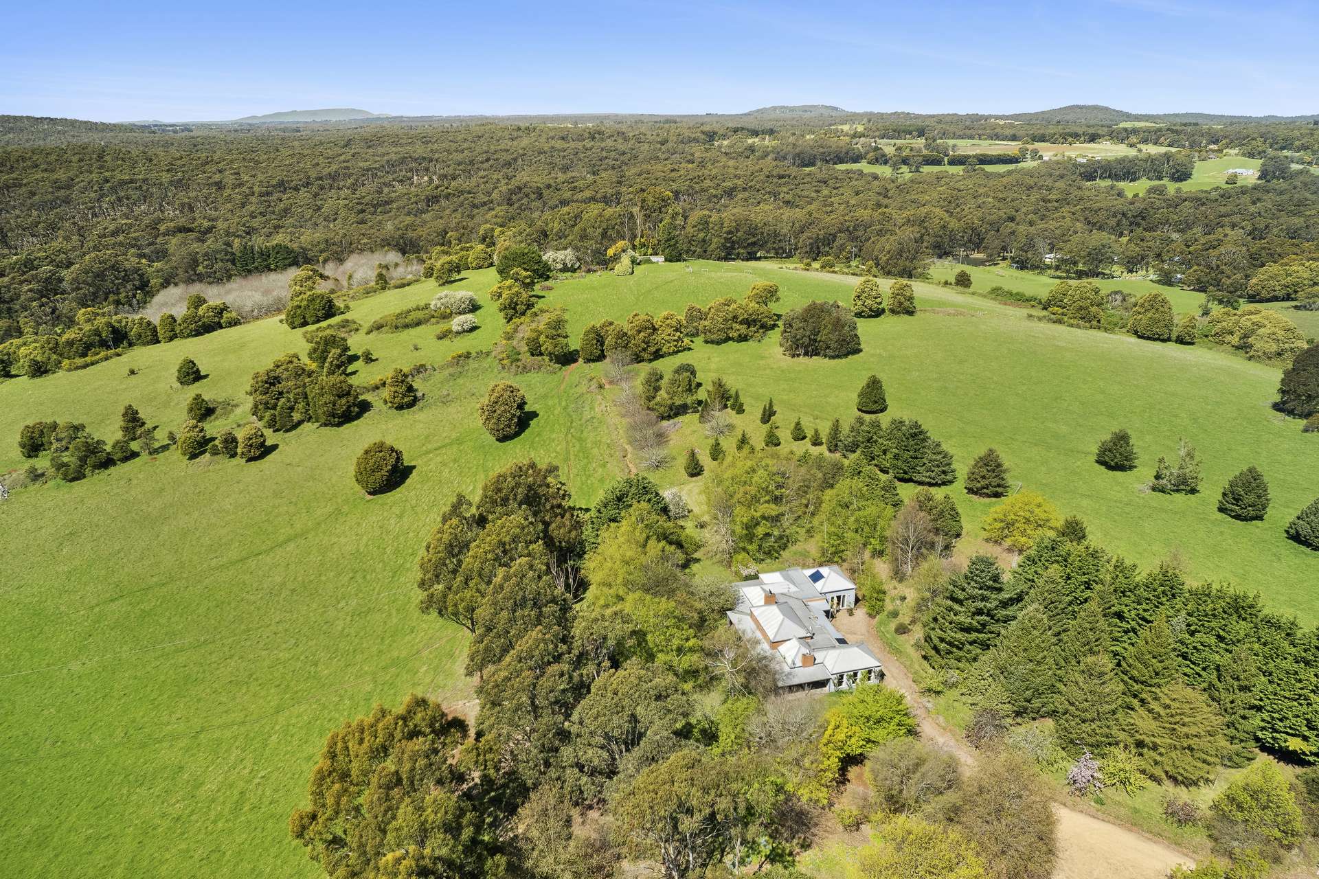 60 Dolphins Road, Musk Sold by Farmbuy.com - image 2
