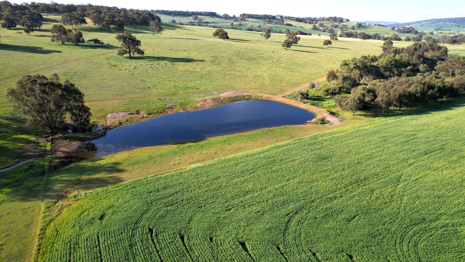 466 Crest Hill Road, Mooliabeenee Sold by Farmbuy.com - image 1