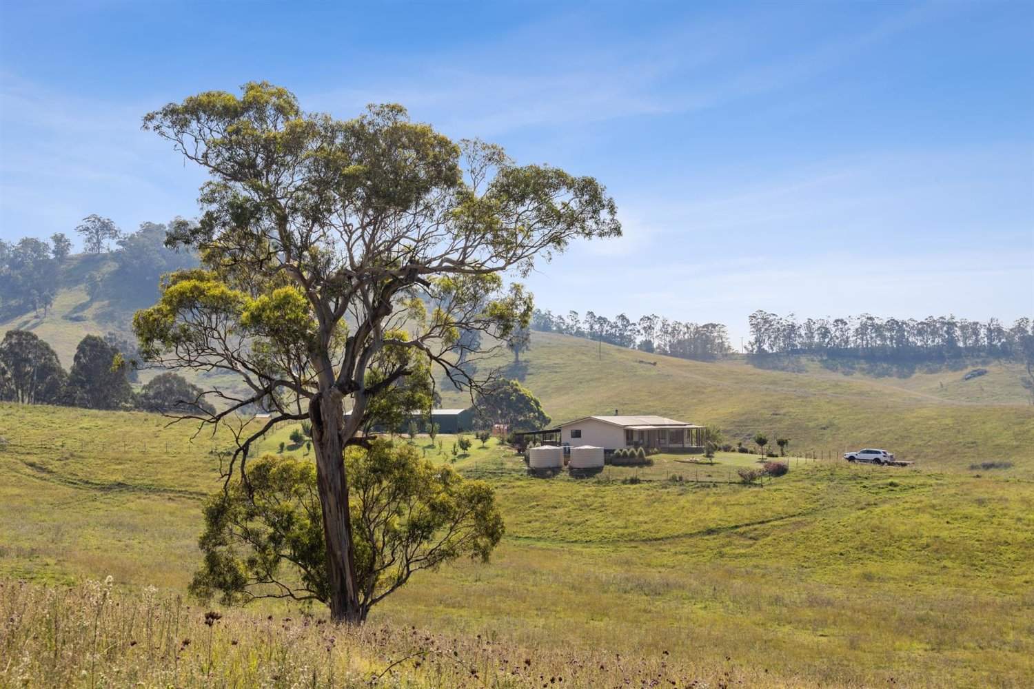 474 Neringla Road, Neringla, Araluen For Sale by Farmbuy.com - image 4