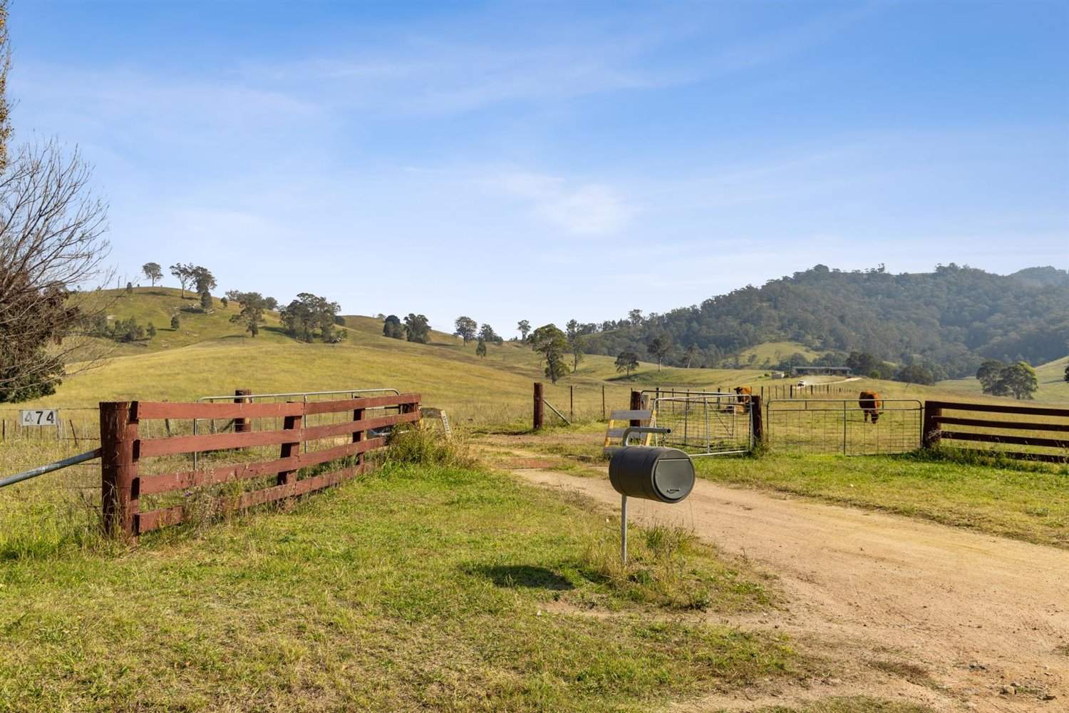 474 Neringla Road, Neringla, Araluen For Sale by Farmbuy.com - image 28