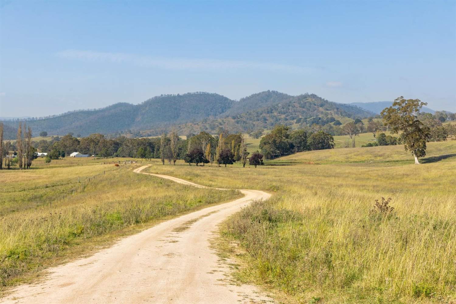 474 Neringla Road, Neringla, Araluen For Sale by Farmbuy.com - image 26