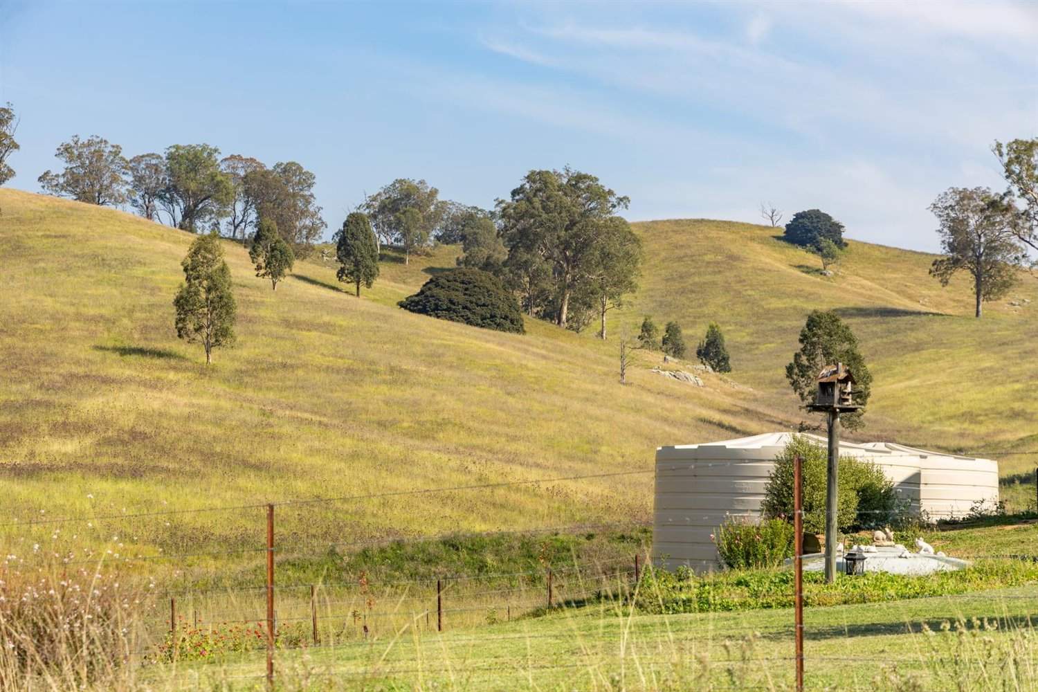 474 Neringla Road, Neringla, Araluen For Sale by Farmbuy.com - image 21