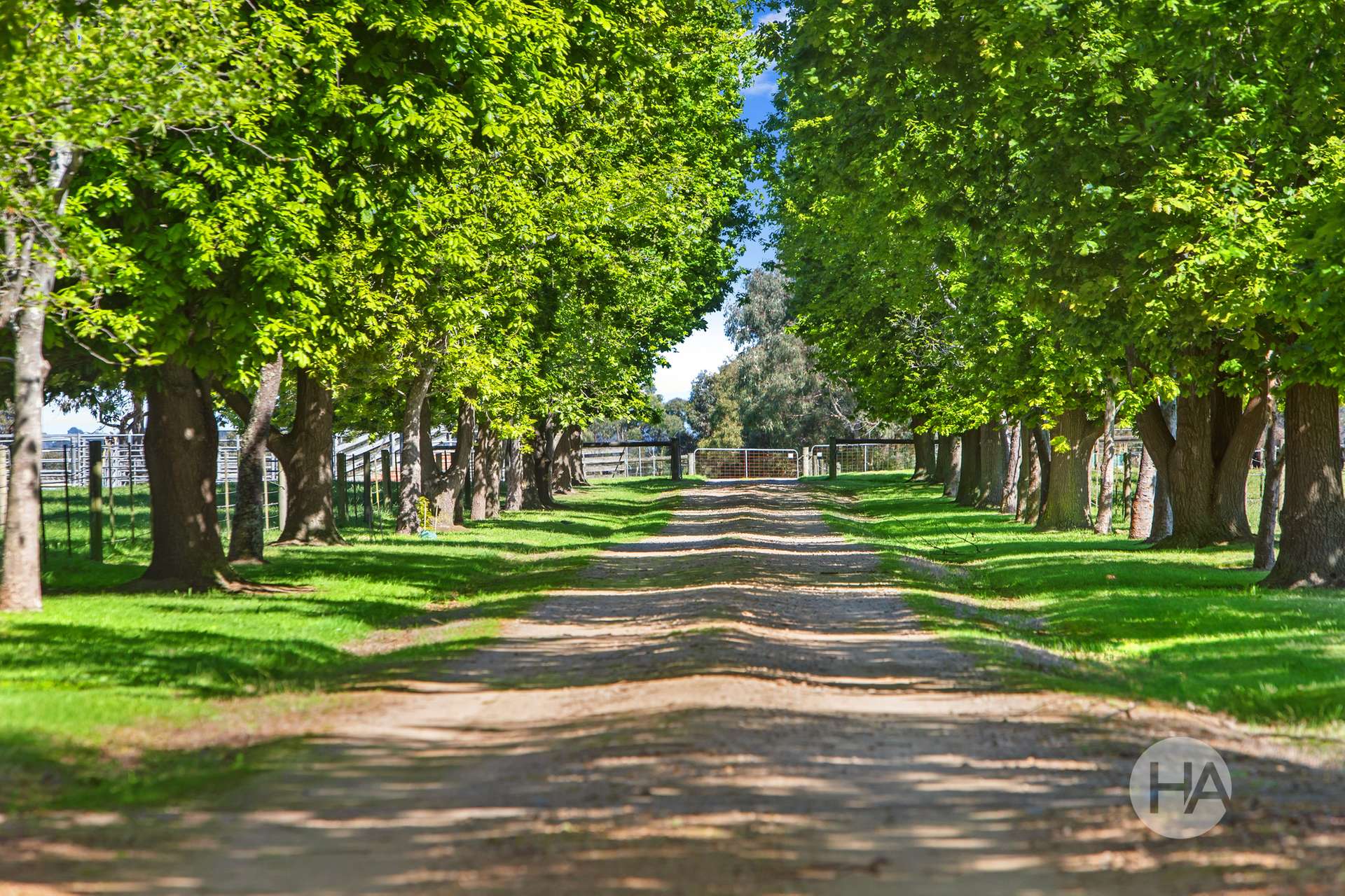 155 Stumpy Gully Road, Balnarring For Sale by Farmbuy.com - image 17