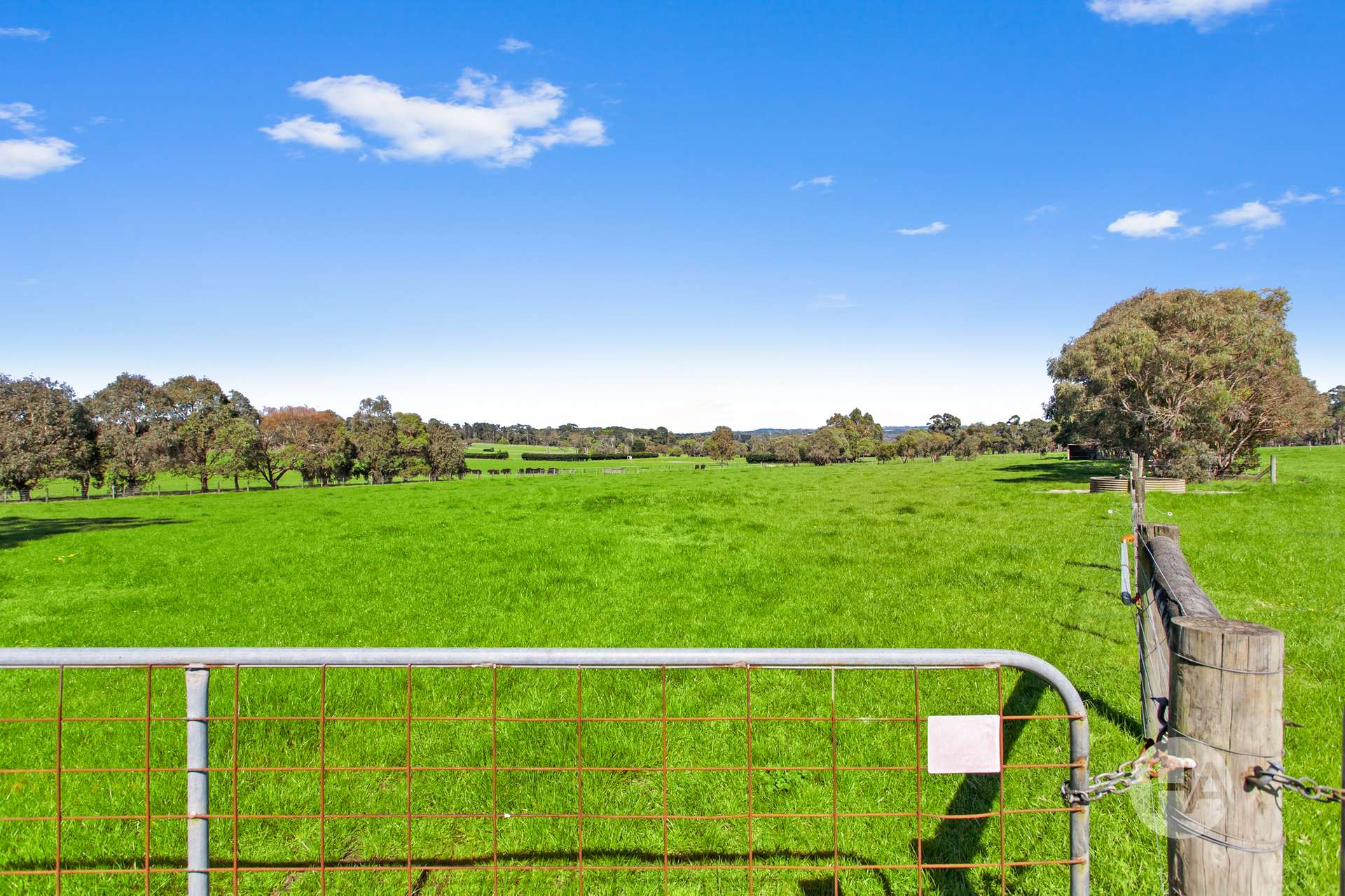 155 Stumpy Gully Road, Balnarring For Sale by Farmbuy.com - image 16