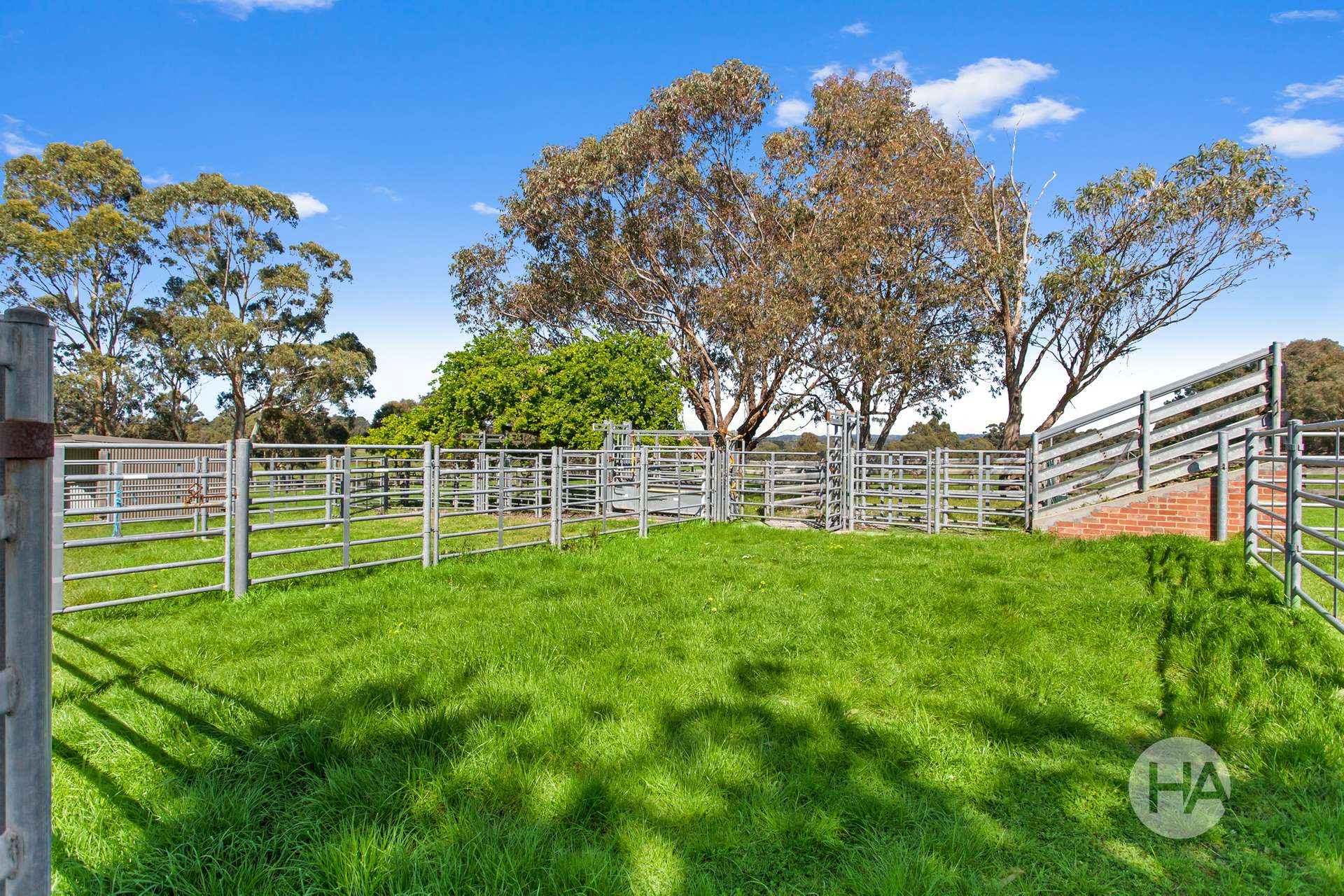 155 Stumpy Gully Road, Balnarring For Sale by Farmbuy.com - image 12