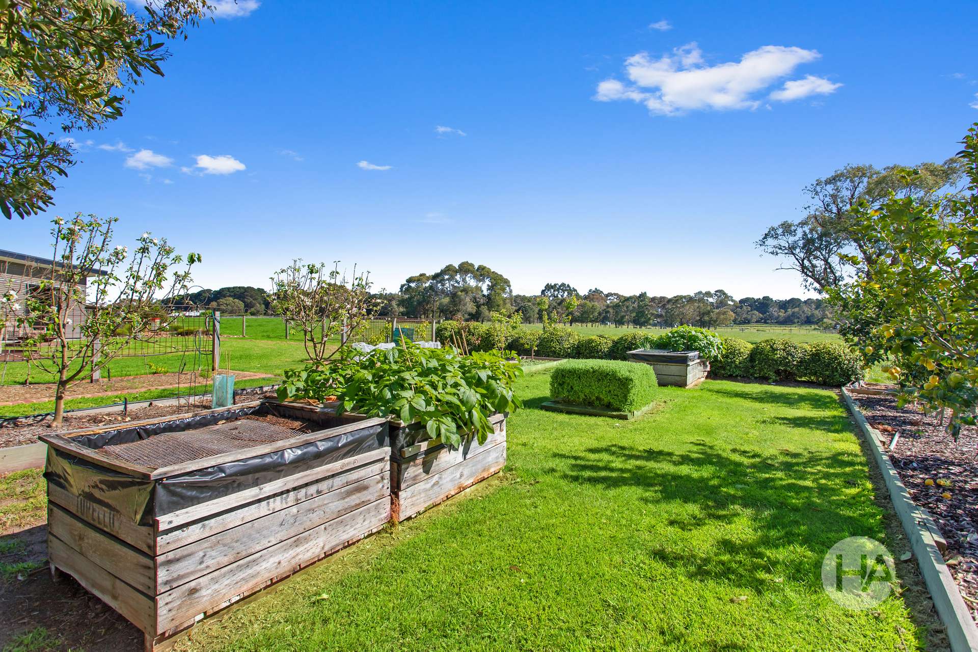 155 Stumpy Gully Road, Balnarring For Sale by Farmbuy.com - image 7