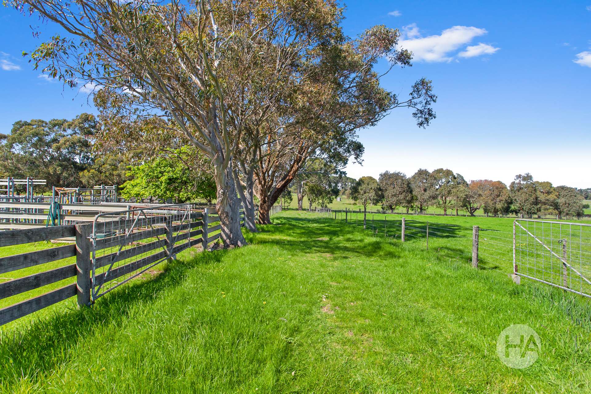 155 Stumpy Gully Road, Balnarring For Sale by Farmbuy.com - image 15