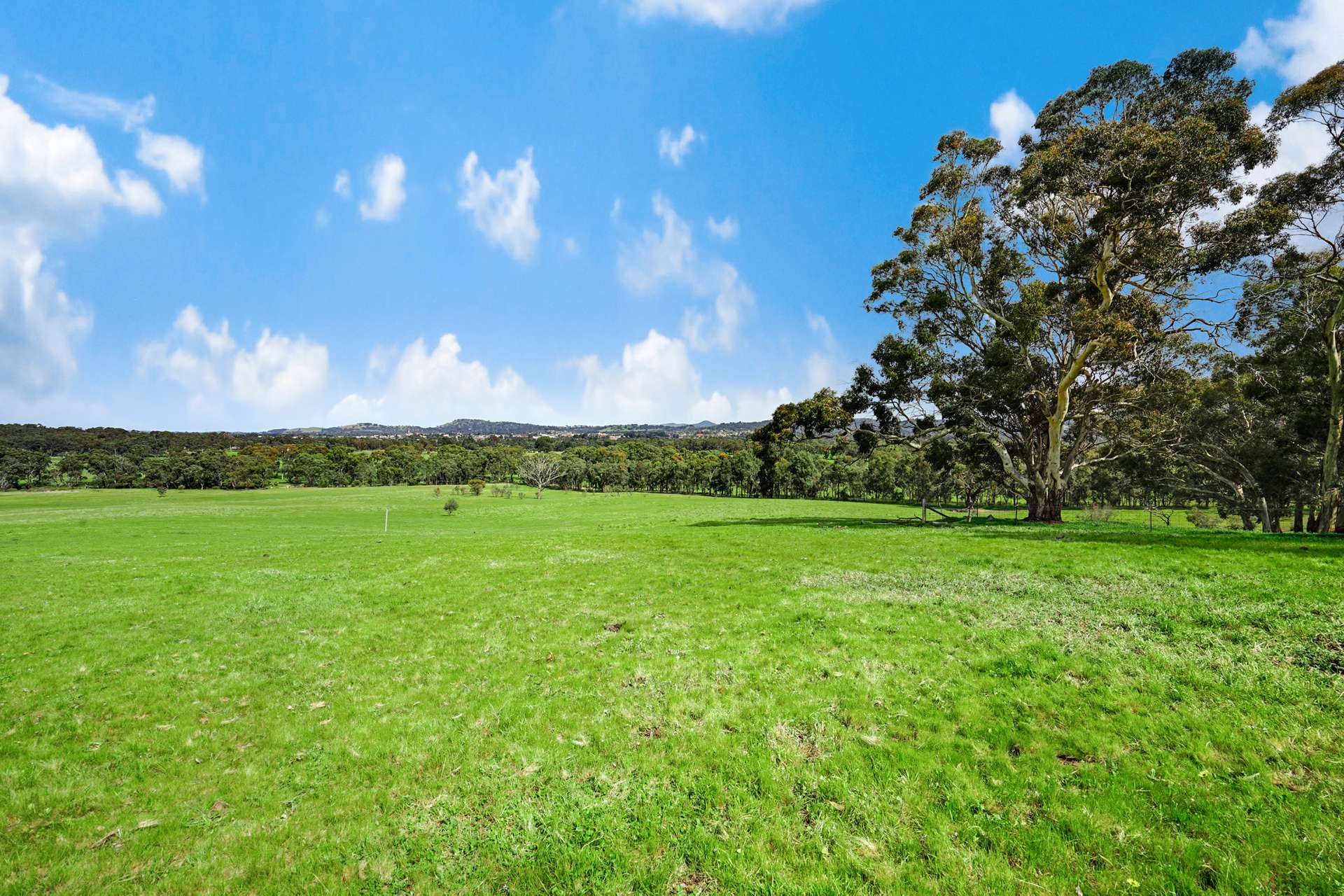 Lots 1-4 Noahs Ark Road, Ararat For Sale by Farmbuy.com - image 6