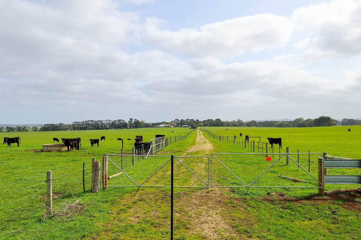 'Glen Rises' 320 Glengleeson West Road, Macarthur For Sale by Farmbuy.com - image 6