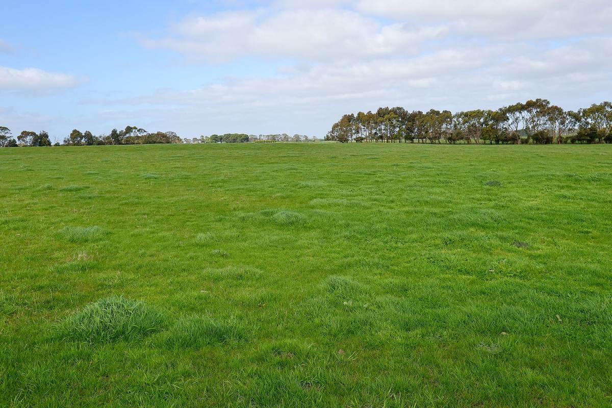 'Glen Rises' 320 Glengleeson West Road, Macarthur For Sale by Farmbuy.com - image 5