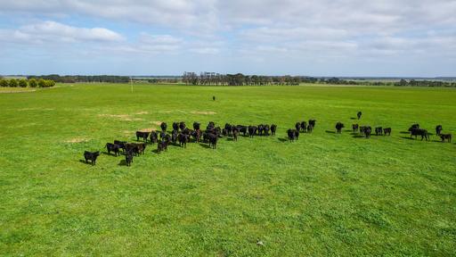 'Glen Rises' 320 Glengleeson West Road, Macarthur VIC 3286
