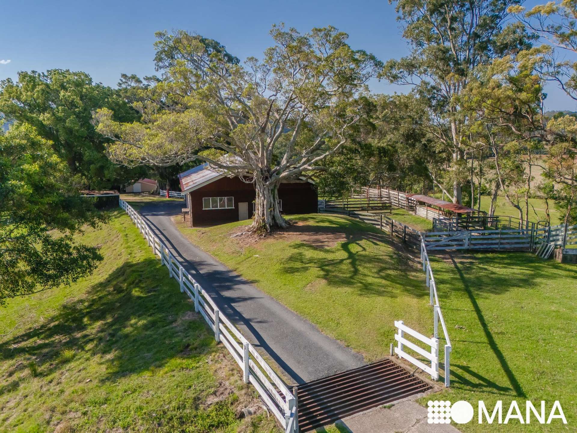 196 Pottsville Road, Mooball For Sale by Farmbuy.com - image 20