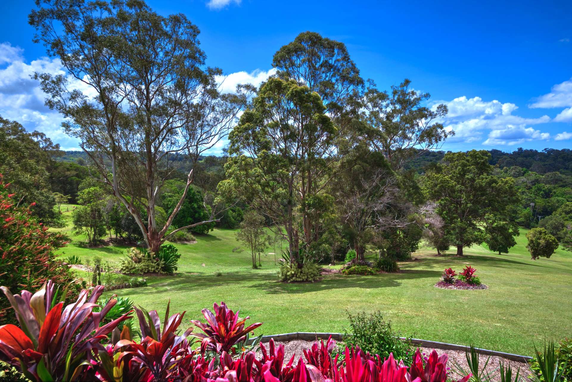220 Lawnville Road, Black Mountain Sold by Farmbuy.com - image 8