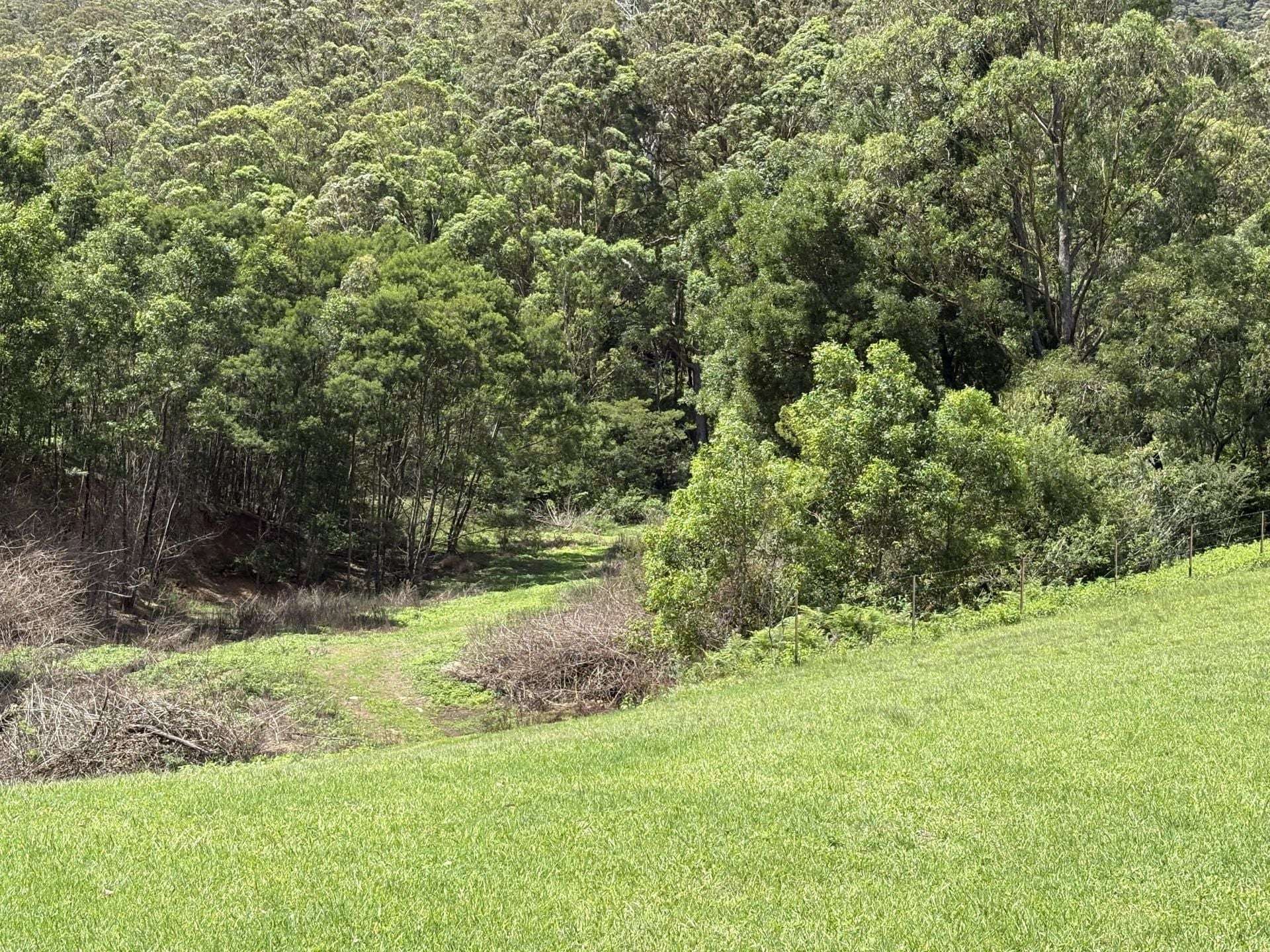 65c Marden Lane, Kangaroo Valley For Sale by Farmbuy.com - image 29