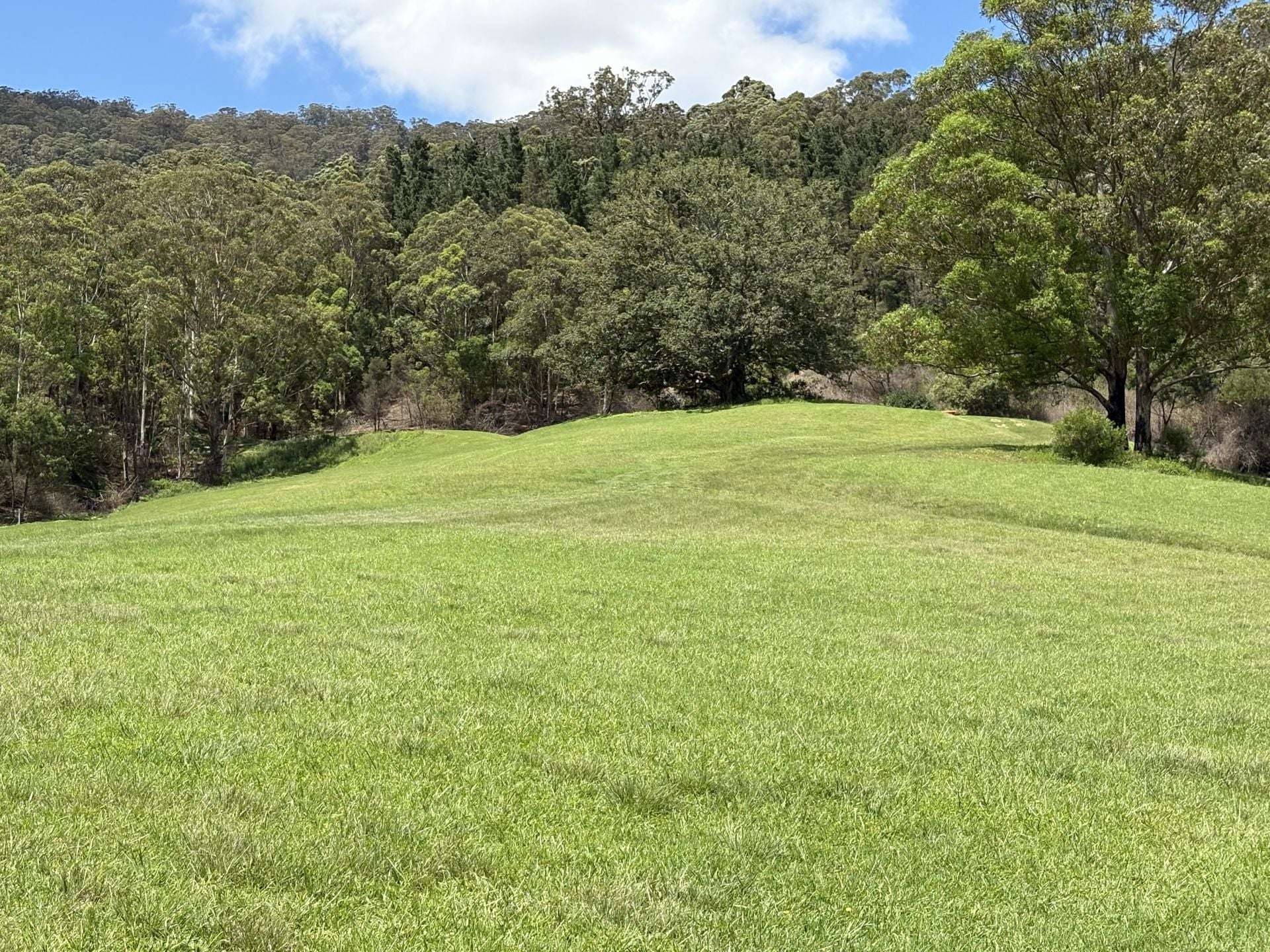 65c Marden Lane, Kangaroo Valley For Sale by Farmbuy.com - image 25