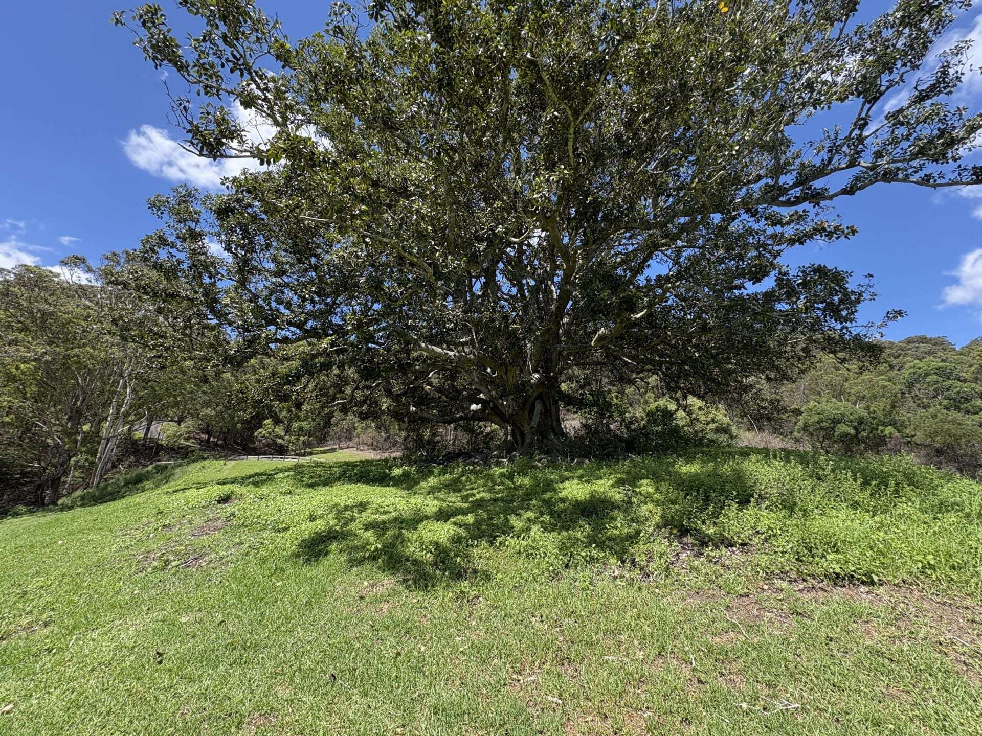 65c Marden Lane, Kangaroo Valley For Sale by Farmbuy.com - image 21