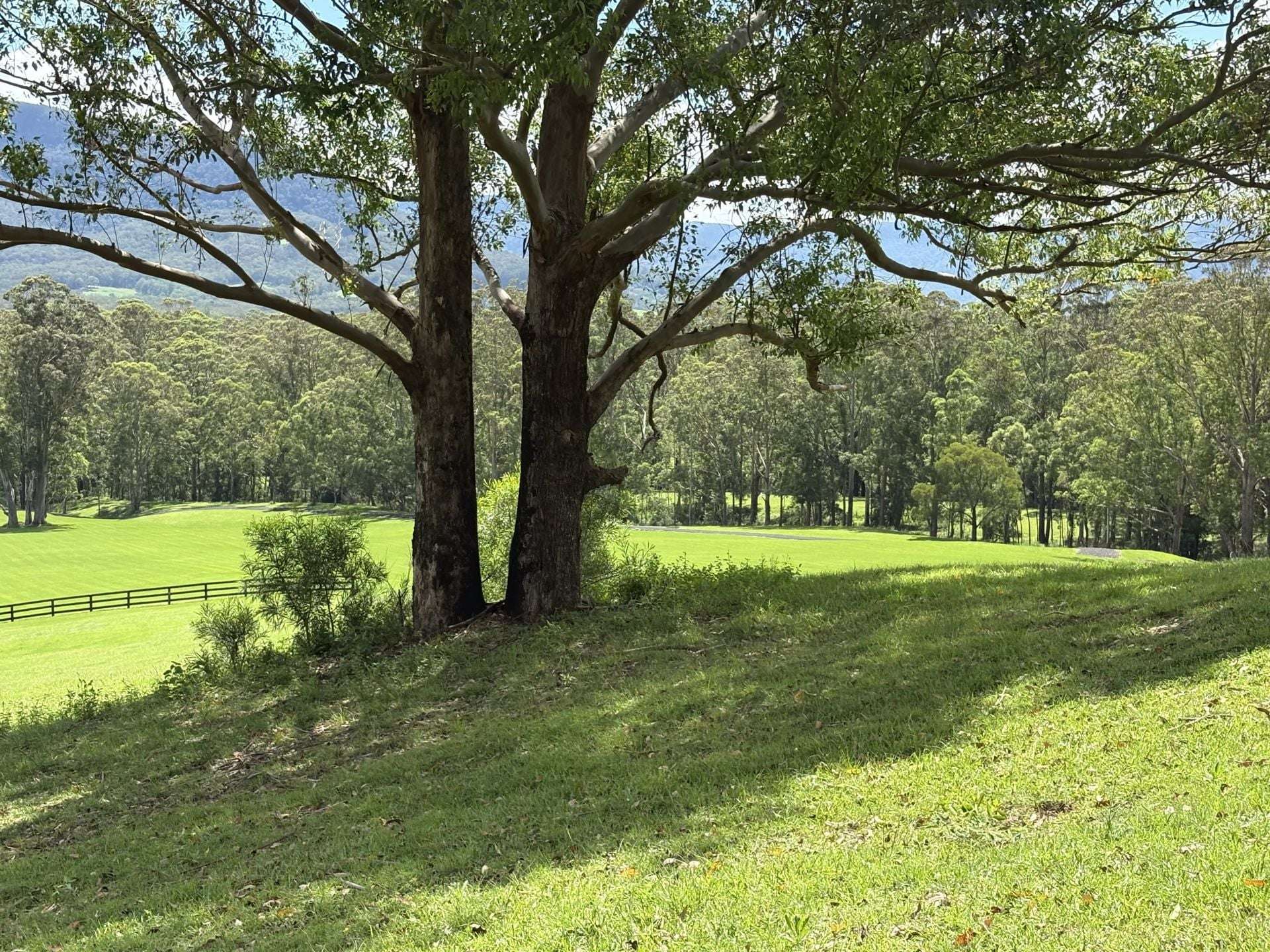 65c Marden Lane, Kangaroo Valley For Sale by Farmbuy.com - image 24