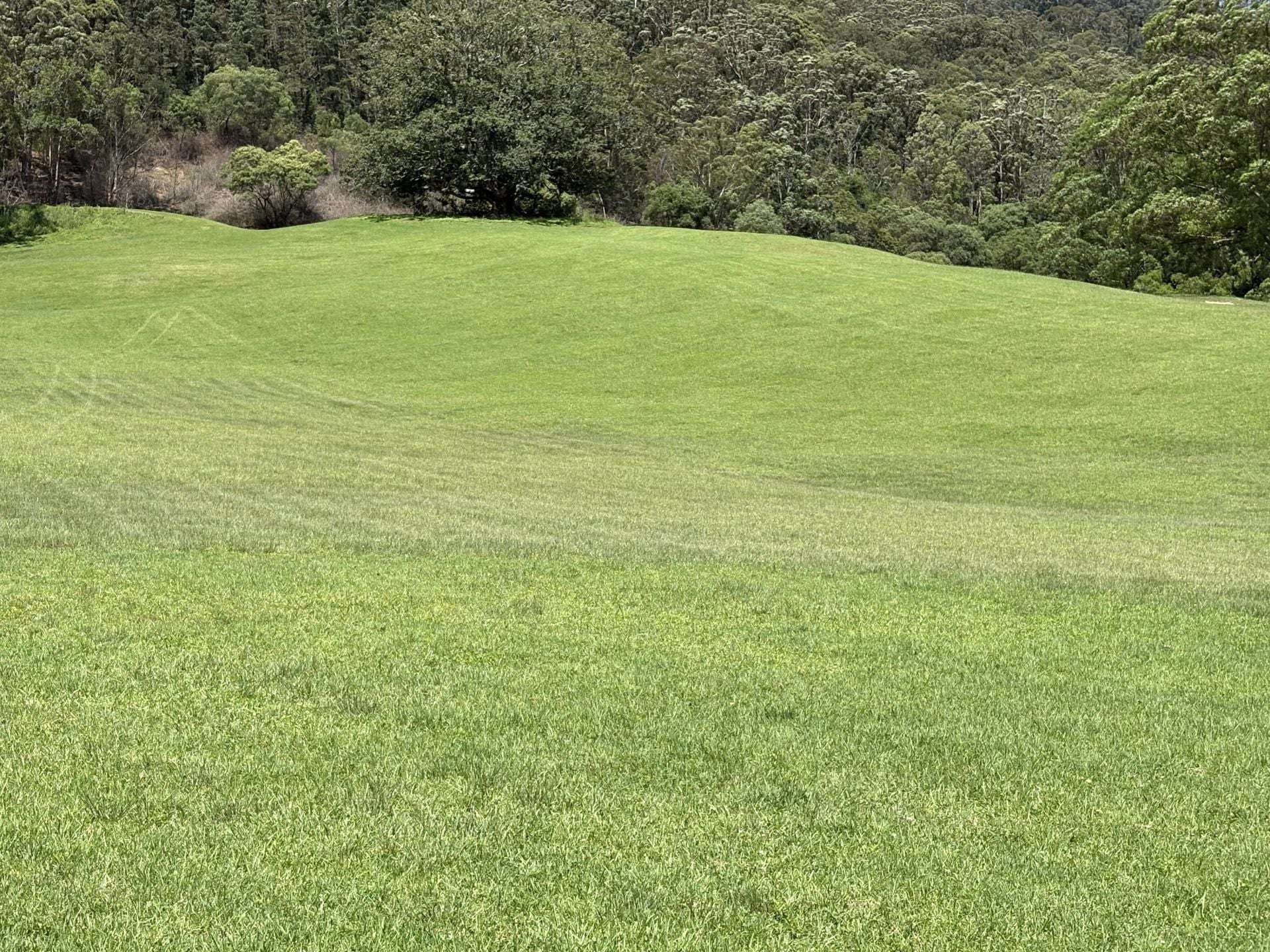 65c Marden Lane, Kangaroo Valley For Sale by Farmbuy.com - image 23