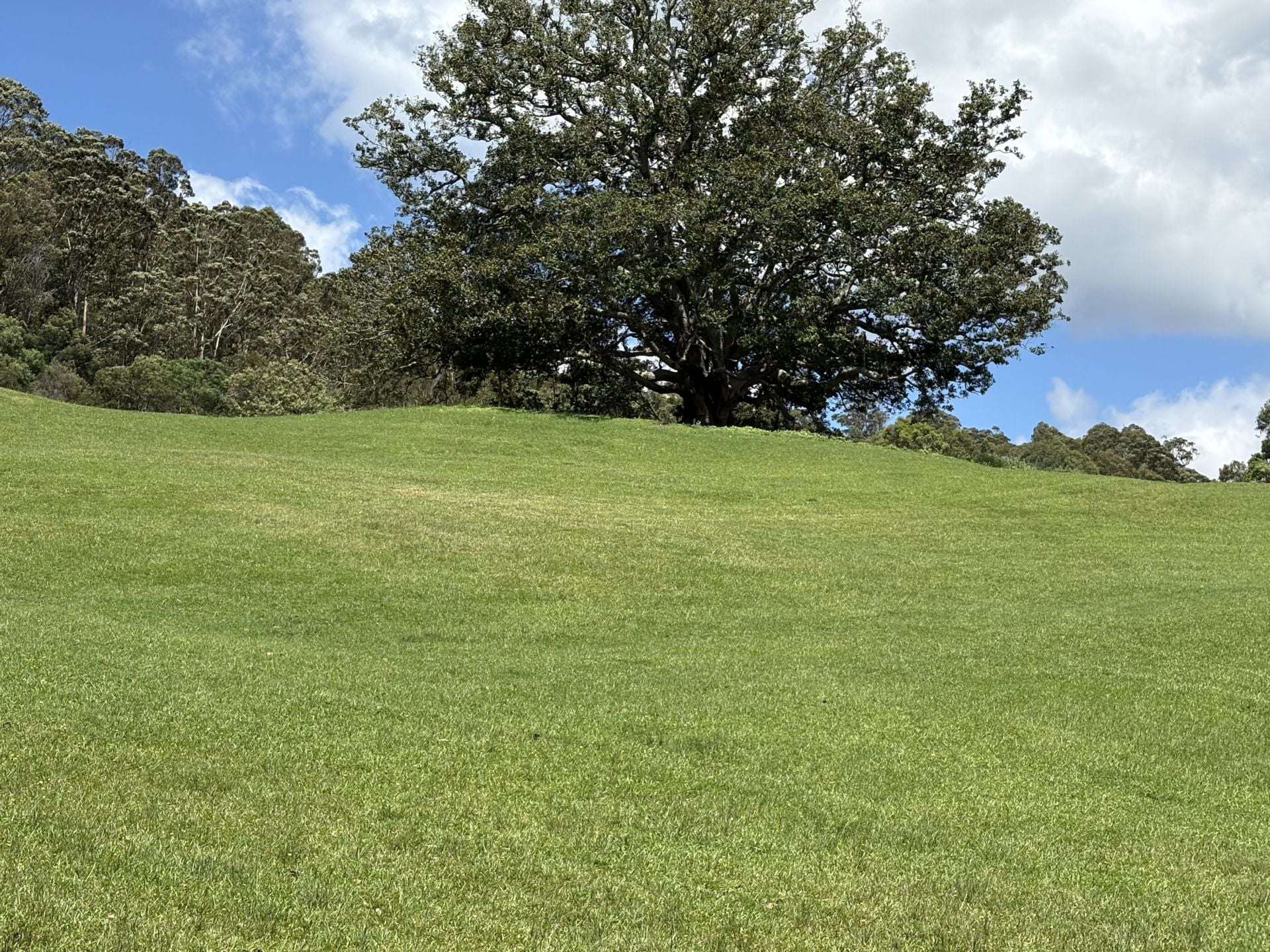65c Marden Lane, Kangaroo Valley For Sale by Farmbuy.com - image 18