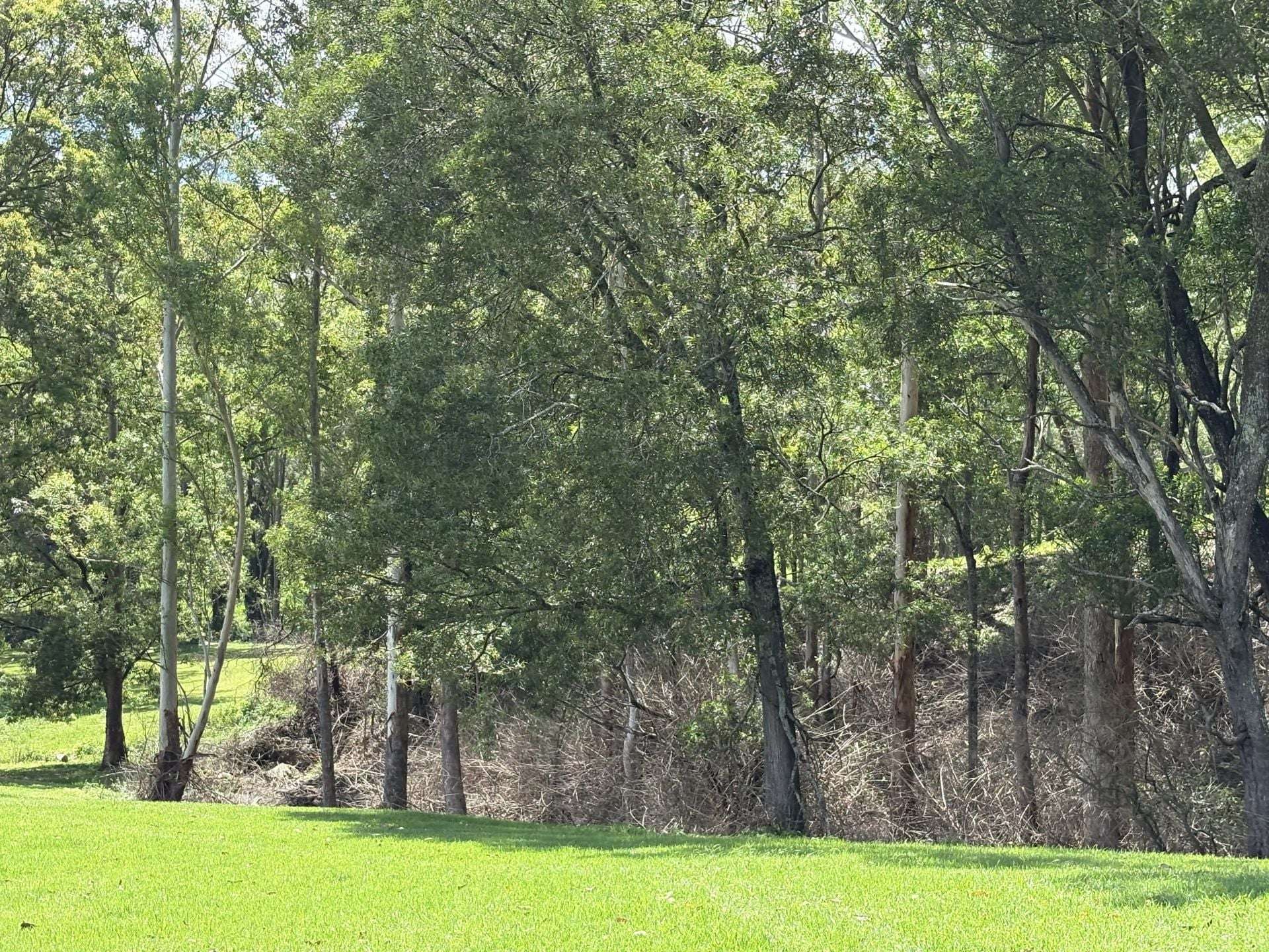 65c Marden Lane, Kangaroo Valley For Sale by Farmbuy.com - image 31