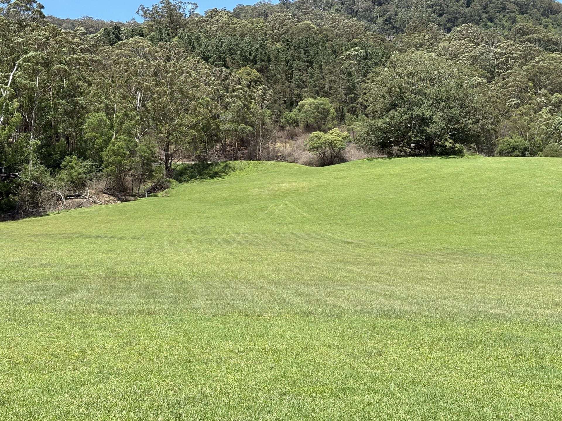 65c Marden Lane, Kangaroo Valley For Sale by Farmbuy.com - image 6