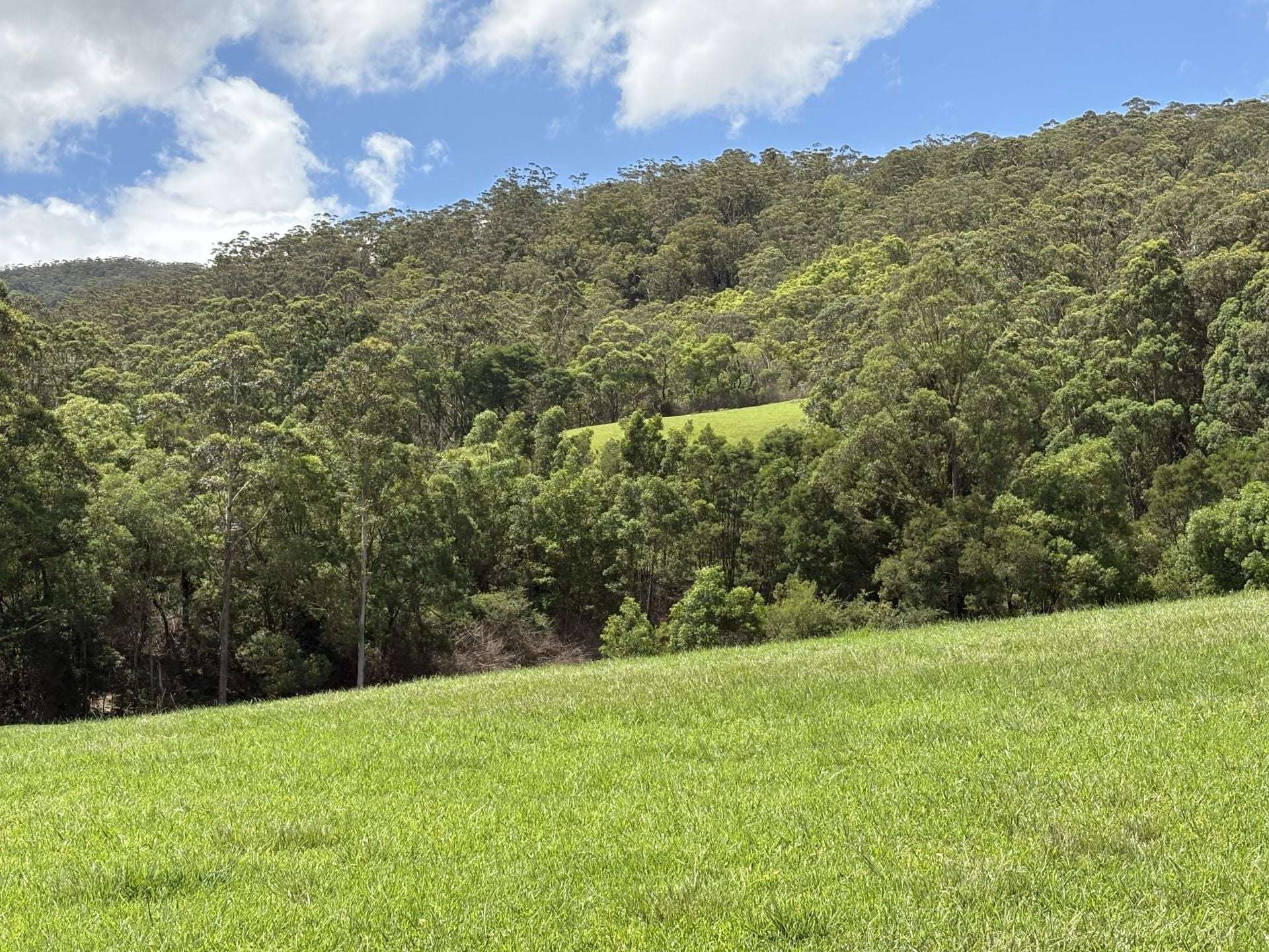 65c Marden Lane, Kangaroo Valley For Sale by Farmbuy.com - image 28