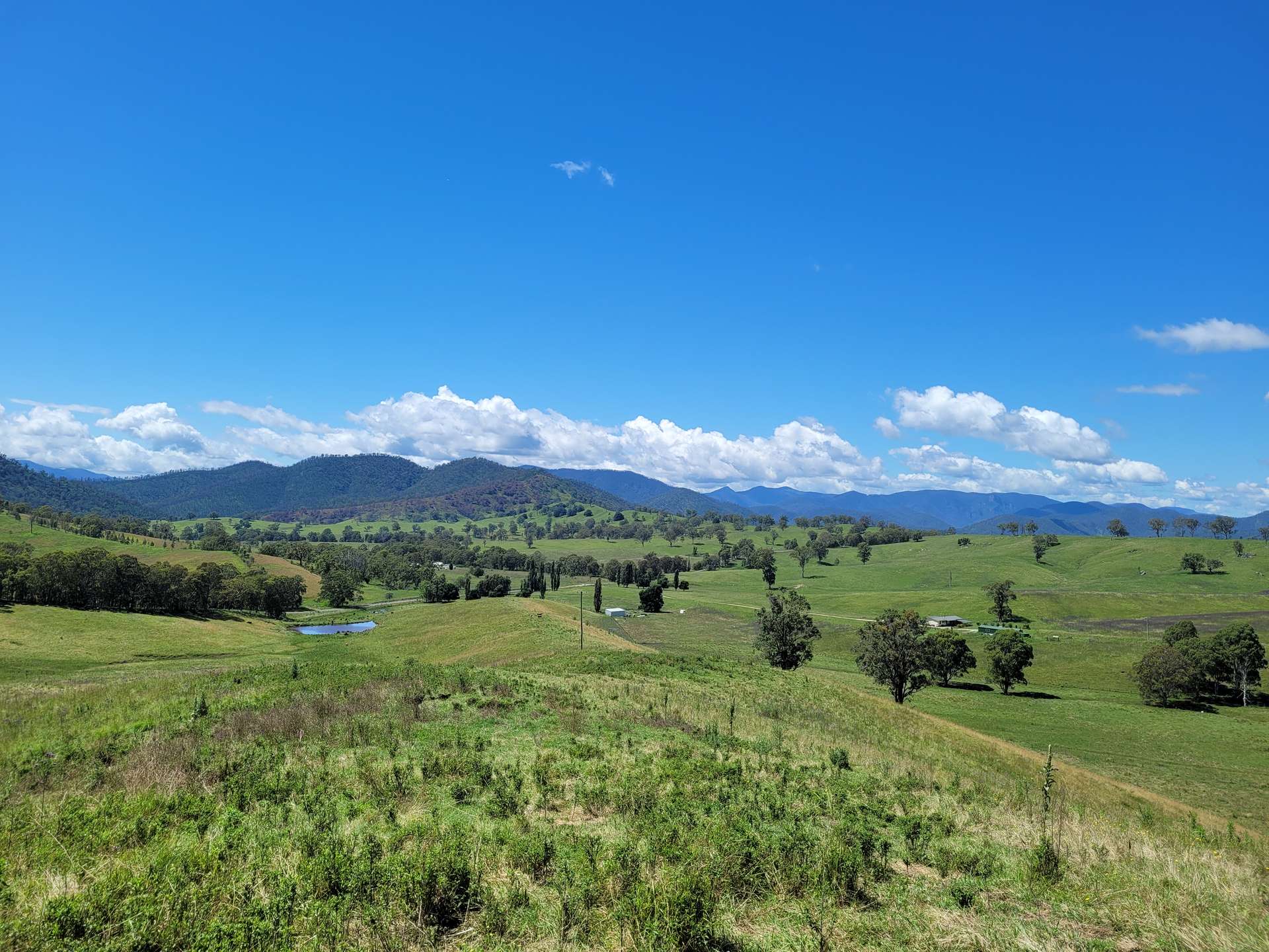 472 Neringla Road, Neringla For Sale by Farmbuy.com - image 6