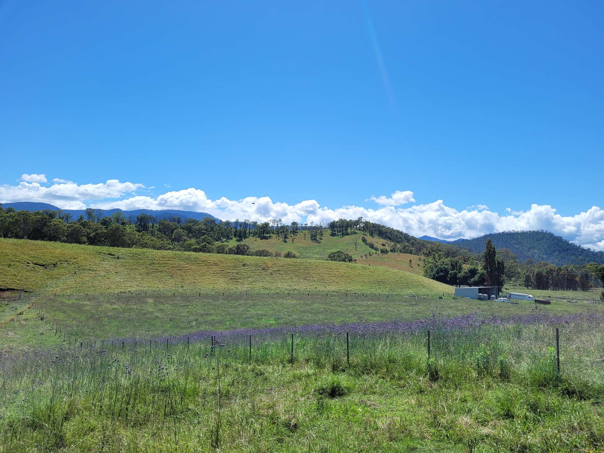 472 Neringla Road, Neringla For Sale by Farmbuy.com - image 15