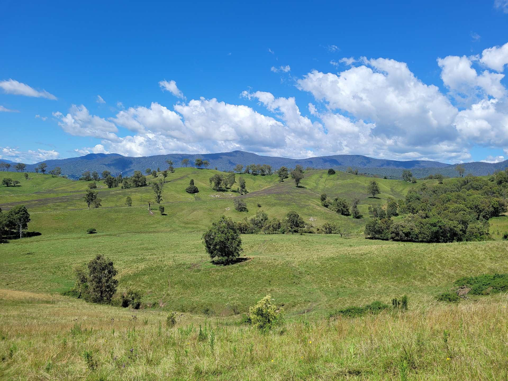 472 Neringla Road, Neringla For Sale by Farmbuy.com - image 3